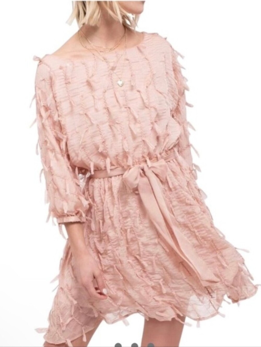 Eyelash Textured Chiffon Mini Dress Dusty Rose Whimsical Fairy Twee NEW